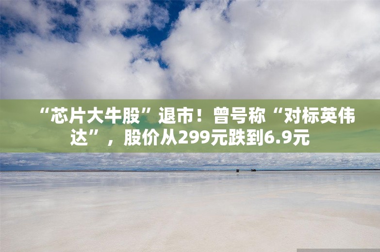 “芯片大牛股”退市！曾号称“对标英伟达”，股价从299元跌到6.9元