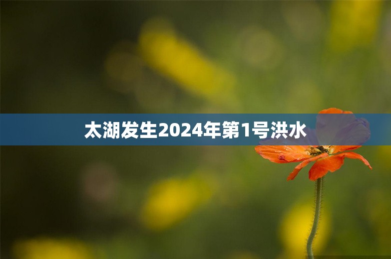 太湖发生2024年第1号洪水