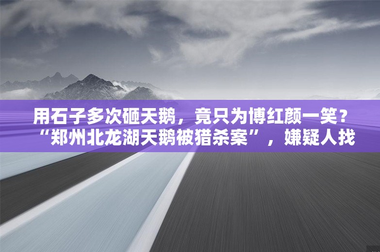 用石子多次砸天鹅，竟只为博红颜一笑？“郑州北龙湖天鹅被猎杀案”，嫌疑人找到了