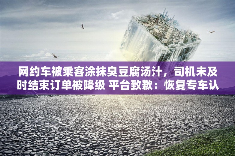 网约车被乘客涂抹臭豆腐汤汁，司机未及时结束订单被降级 平台致歉：恢复专车认证