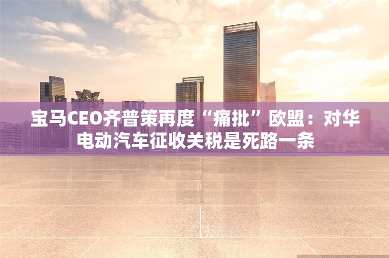 宝马CEO齐普策再度“痛批”欧盟：对华电动汽车征收关税是死路一条