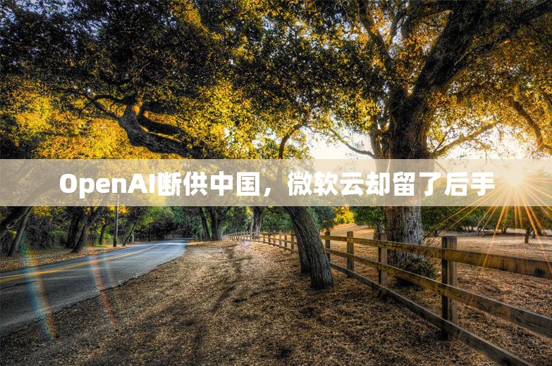 OpenAI断供中国，微软云却留了后手