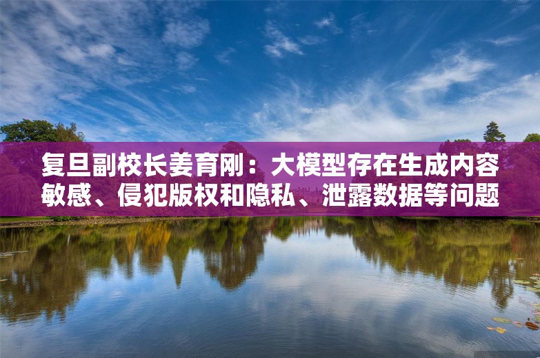 复旦副校长姜育刚：大模型存在生成内容敏感、侵犯版权和隐私、泄露数据等问题