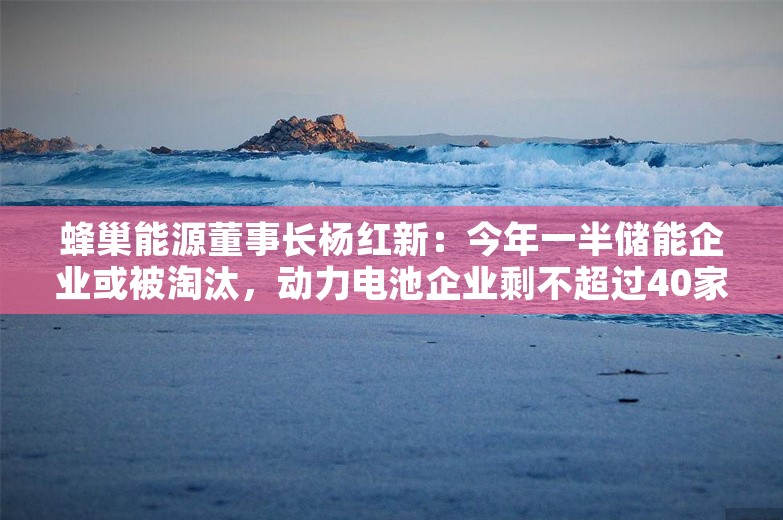 蜂巢能源董事长杨红新：今年一半储能企业或被淘汰，动力电池企业剩不超过40家