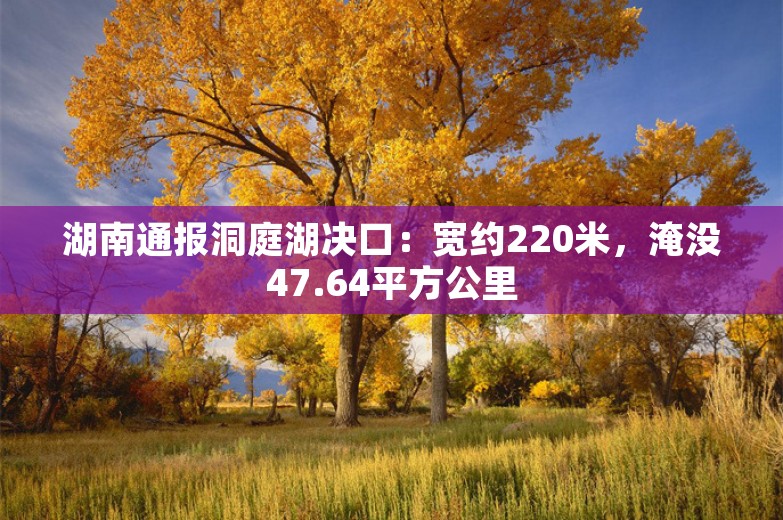 湖南通报洞庭湖决口：宽约220米，淹没47.64平方公里