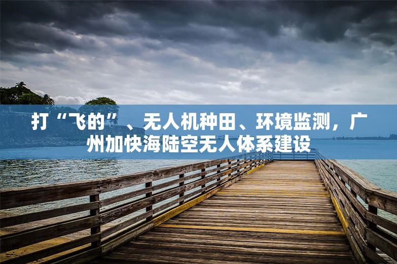 打“飞的”、无人机种田、环境监测，广州加快海陆空无人体系建设