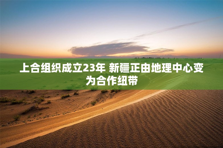 上合组织成立23年 新疆正由地理中心变为合作纽带