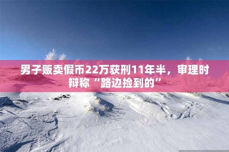 男子贩卖假币22万获刑11年半，审理时辩称“路边捡到的”