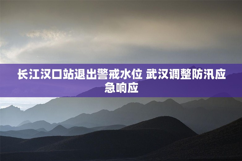 长江汉口站退出警戒水位 武汉调整防汛应急响应