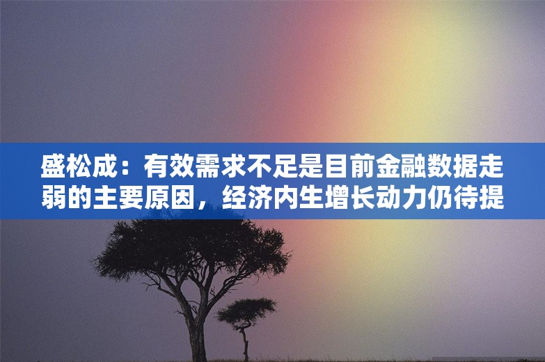 盛松成：有效需求不足是目前金融数据走弱的主要原因，经济内生增长动力仍待提升