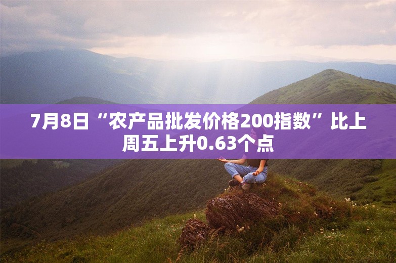 7月8日“农产品批发价格200指数”比上周五上升0.63个点