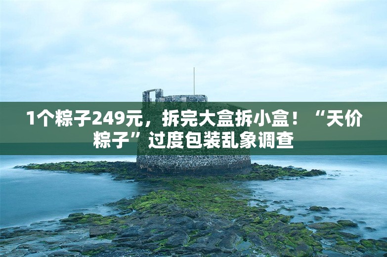 1个粽子249元，拆完大盒拆小盒！“天价粽子”过度包装乱象调查