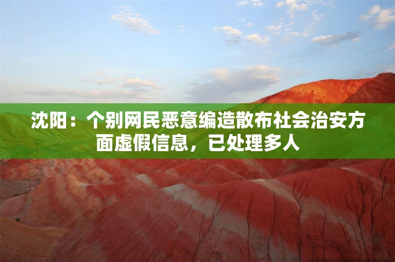 沈阳：个别网民恶意编造散布社会治安方面虚假信息，已处理多人