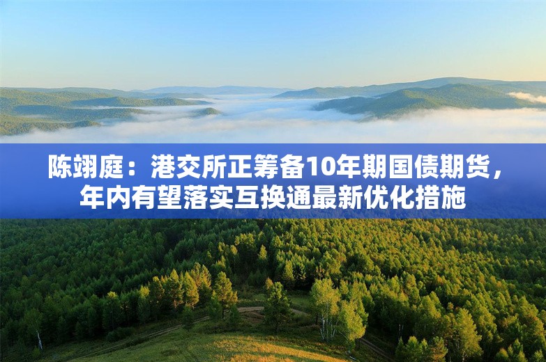 陈翊庭：港交所正筹备10年期国债期货，年内有望落实互换通最新优化措施