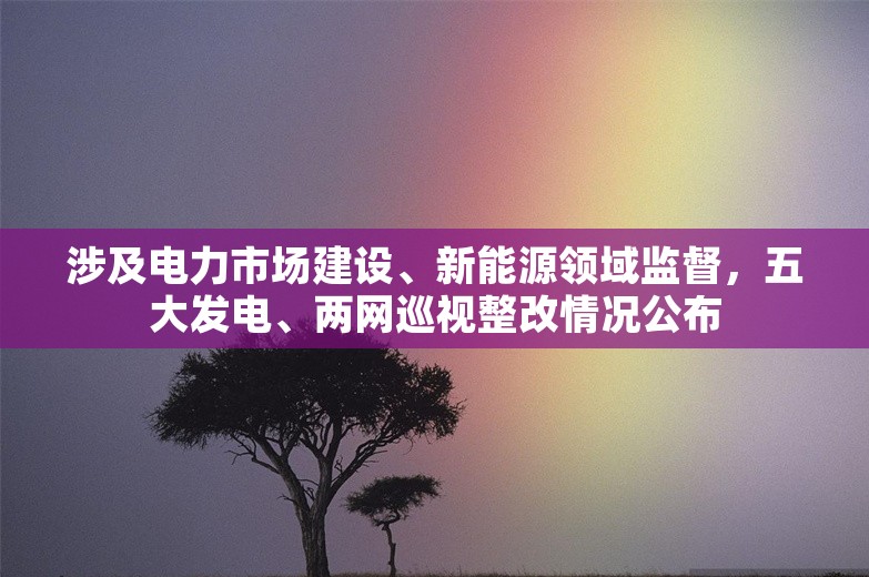 涉及电力市场建设、新能源领域监督，五大发电、两网巡视整改情况公布