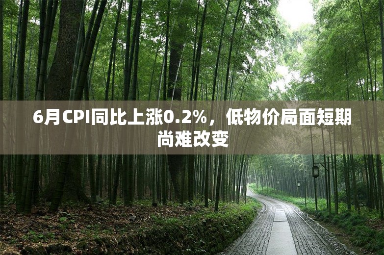 6月CPI同比上涨0.2%，低物价局面短期尚难改变