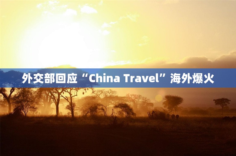 外交部回应“China Travel”海外爆火