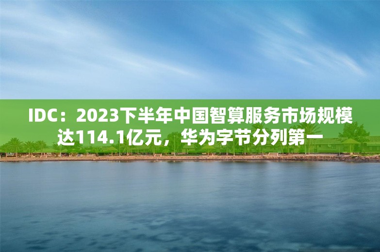 IDC：2023下半年中国智算服务市场规模达114.1亿元，华为字节分列第一