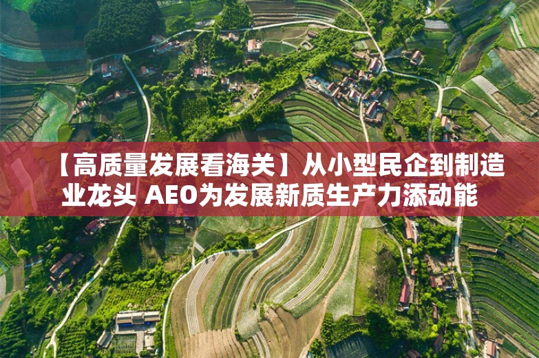 【高质量发展看海关】从小型民企到制造业龙头 AEO为发展新质生产力添动能