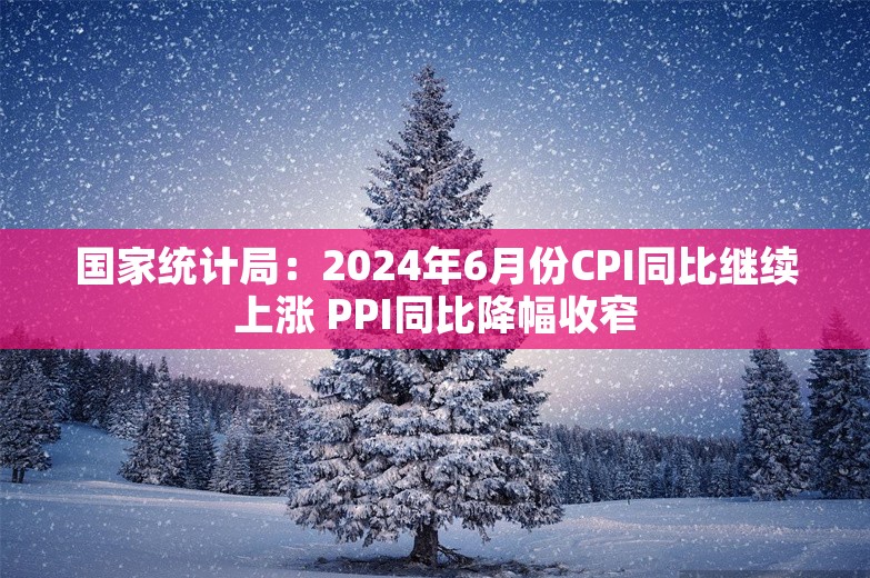 国家统计局：2024年6月份CPI同比继续上涨 PPI同比降幅收窄