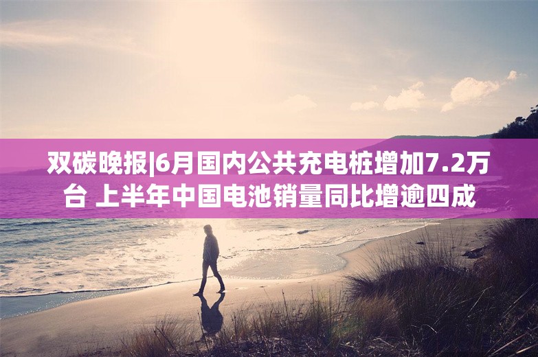 双碳晚报|6月国内公共充电桩增加7.2万台 上半年中国电池销量同比增逾四成