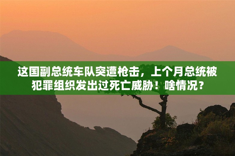 这国副总统车队突遭枪击，上个月总统被犯罪组织发出过死亡威胁！啥情况？