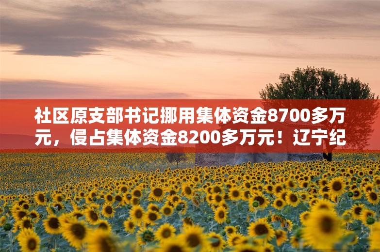 社区原支部书记挪用集体资金8700多万元，侵占集体资金8200多万元！辽宁纪委通报