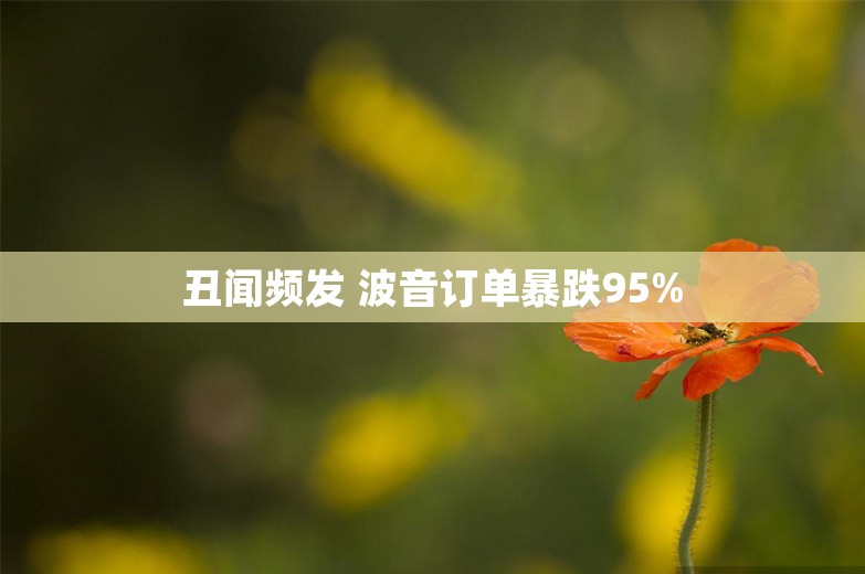 丑闻频发 波音订单暴跌95%