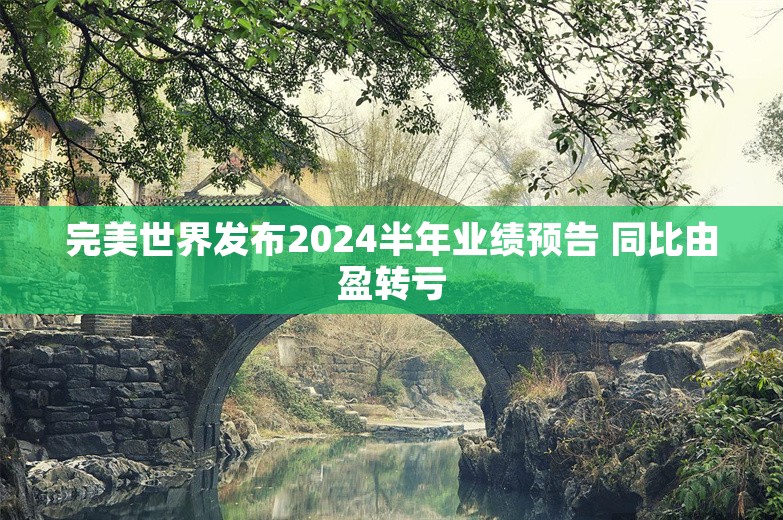 完美世界发布2024半年业绩预告 同比由盈转亏