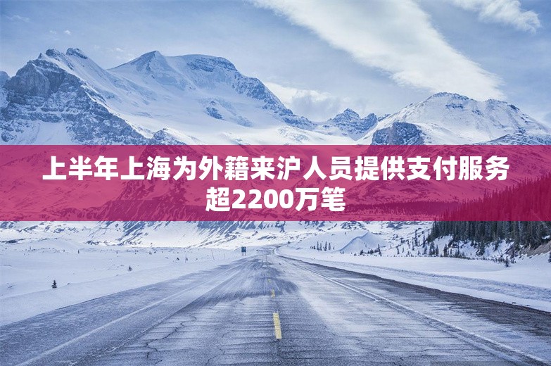 上半年上海为外籍来沪人员提供支付服务超2200万笔