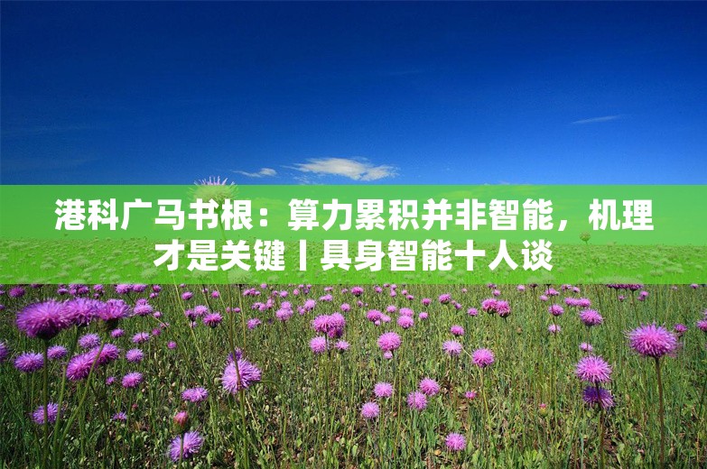 港科广马书根：算力累积并非智能，机理才是关键丨具身智能十人谈