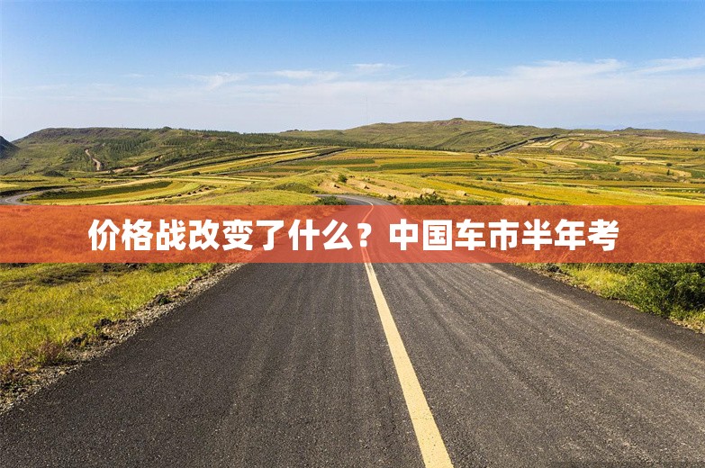 价格战改变了什么？中国车市半年考