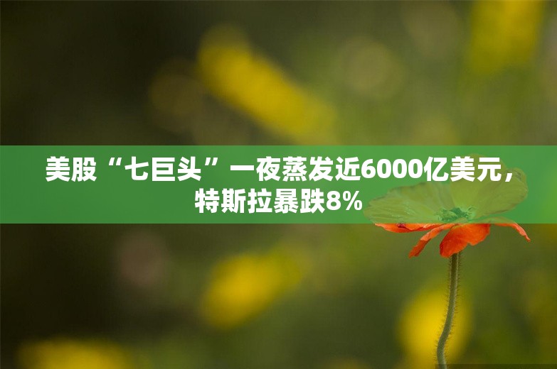 美股“七巨头”一夜蒸发近6000亿美元，特斯拉暴跌8%