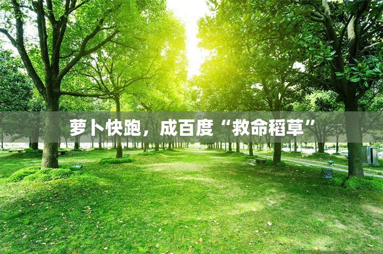 萝卜快跑，成百度“救命稻草”