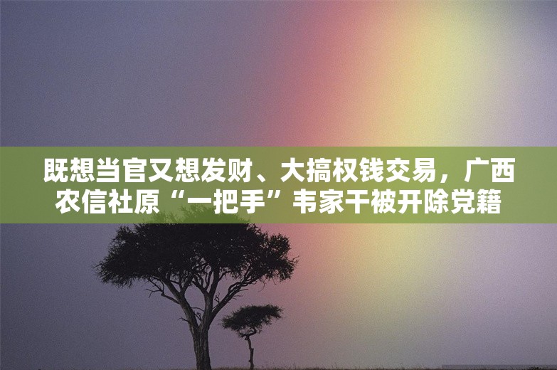 既想当官又想发财、大搞权钱交易，广西农信社原“一把手”韦家干被开除党籍