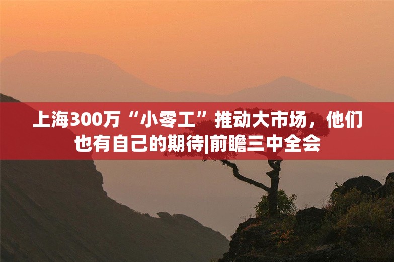 上海300万“小零工”推动大市场，他们也有自己的期待|前瞻三中全会