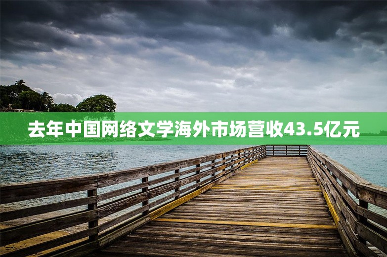 去年中国网络文学海外市场营收43.5亿元