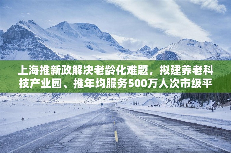 上海推新政解决老龄化难题，拟建养老科技产业园、推年均服务500万人次市级平台