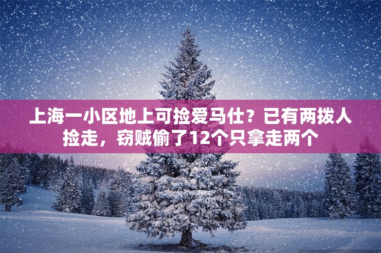 上海一小区地上可捡爱马仕？已有两拨人捡走，窃贼偷了12个只拿走两个