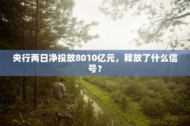 央行两日净投放8010亿元，释放了什么信号？