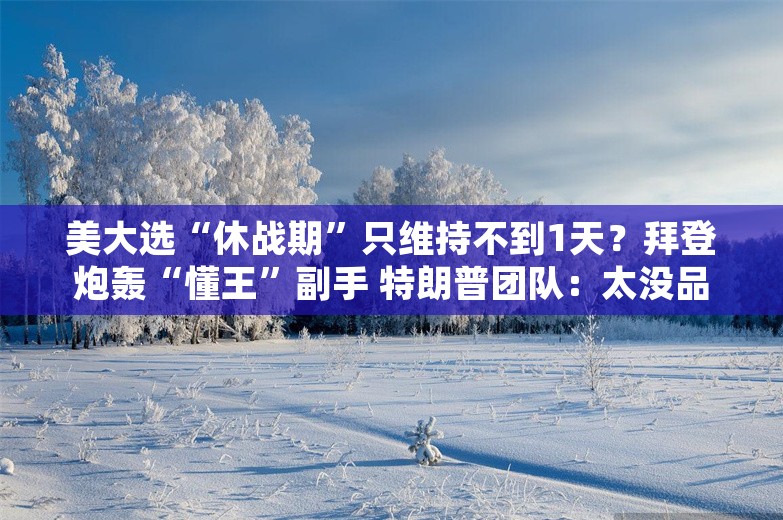 美大选“休战期”只维持不到1天？拜登炮轰“懂王”副手 特朗普团队：太没品