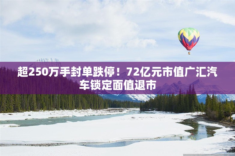 超250万手封单跌停！72亿元市值广汇汽车锁定面值退市