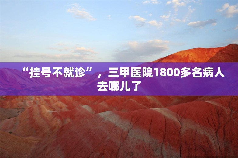 “挂号不就诊”，三甲医院1800多名病人去哪儿了