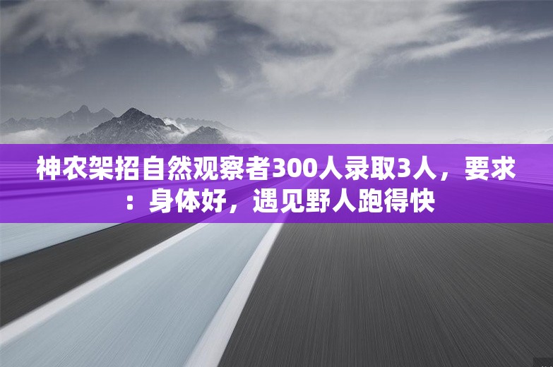 神农架招自然观察者300人录取3人，要求：身体好，遇见野人跑得快