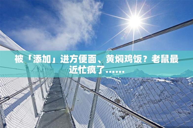 被「添加」进方便面、黄焖鸡饭？老鼠最近忙疯了……