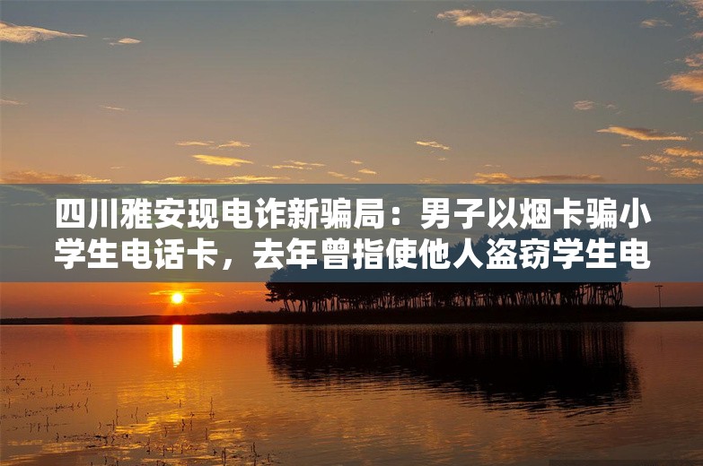 四川雅安现电诈新骗局：男子以烟卡骗小学生电话卡，去年曾指使他人盗窃学生电话卡