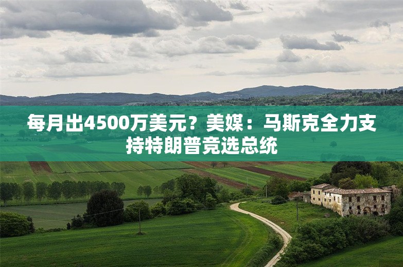 每月出4500万美元？美媒：马斯克全力支持特朗普竞选总统