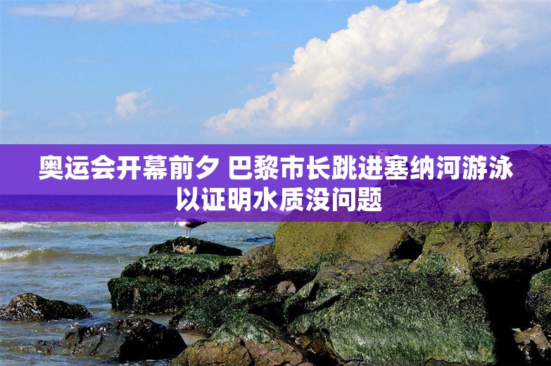 奥运会开幕前夕 巴黎市长跳进塞纳河游泳 以证明水质没问题