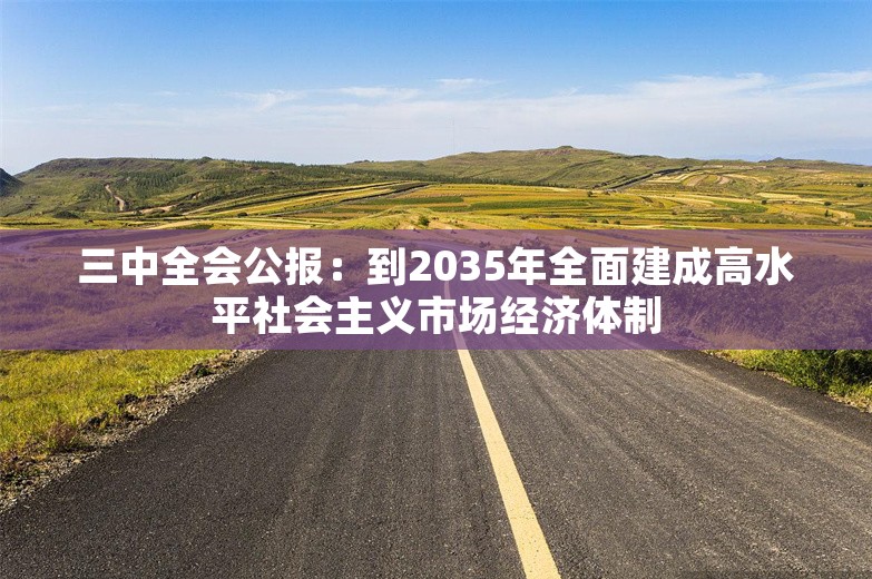 三中全会公报：到2035年全面建成高水平社会主义市场经济体制