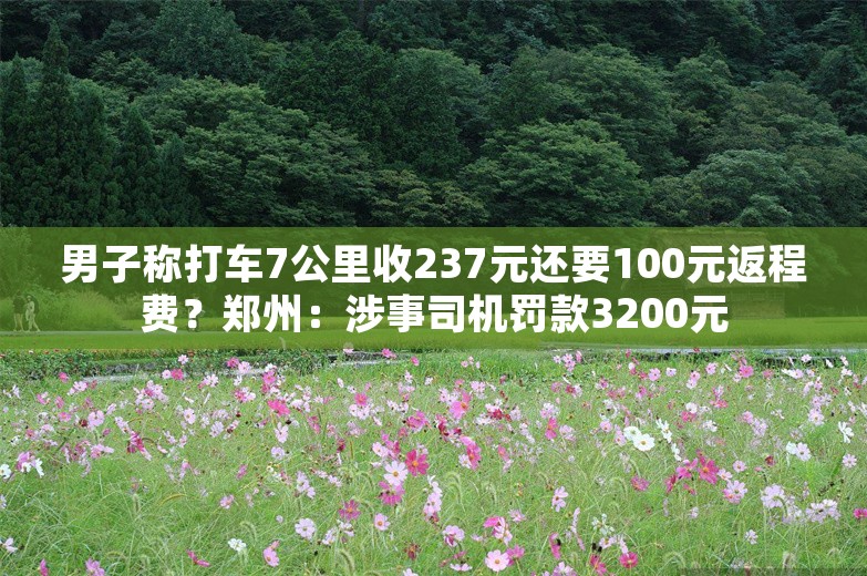 男子称打车7公里收237元还要100元返程费？郑州：涉事司机罚款3200元